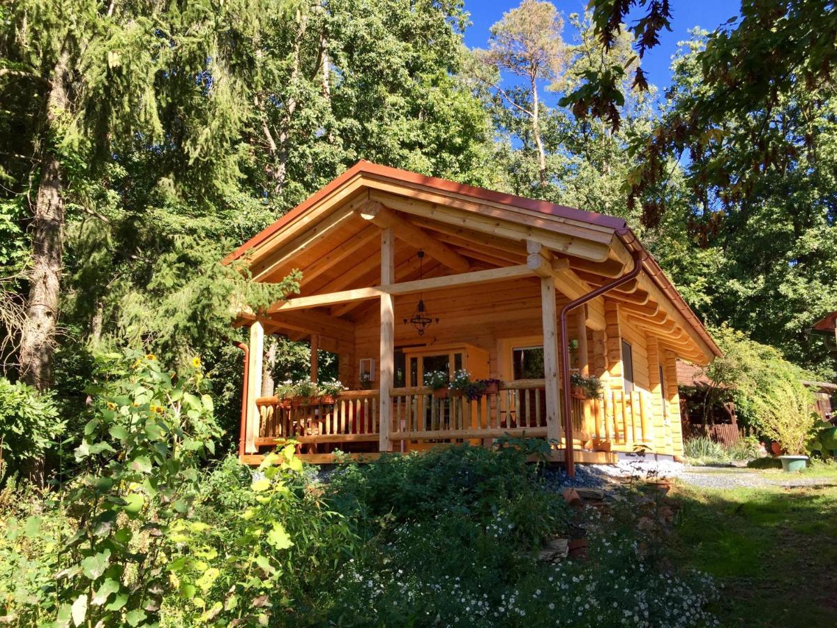 Blockhaus Chalet Mit Beheizbarem Badefass Und Infrarotsauna Auf Der Terrasse Oberschützen المظهر الخارجي الصورة